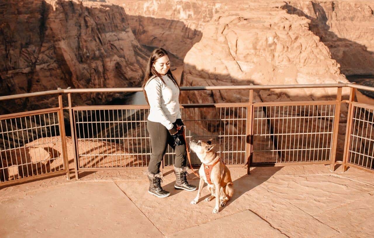 Traveling with your dog at national parks
