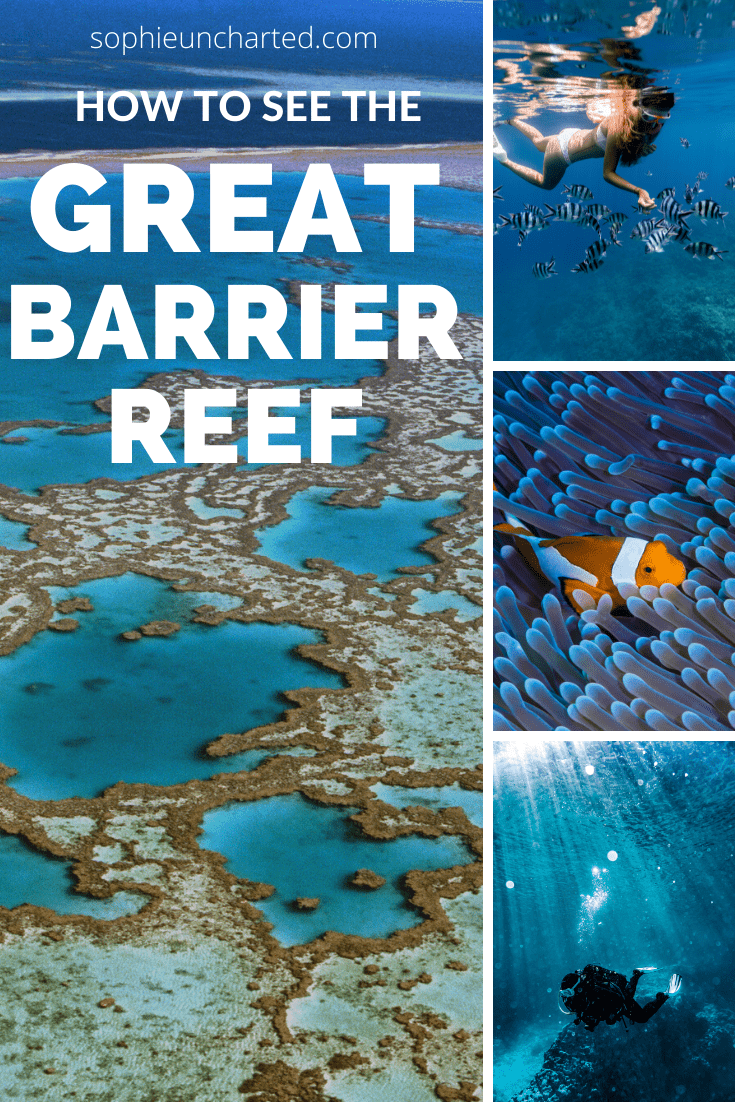Pinterest Great Barrier Reef