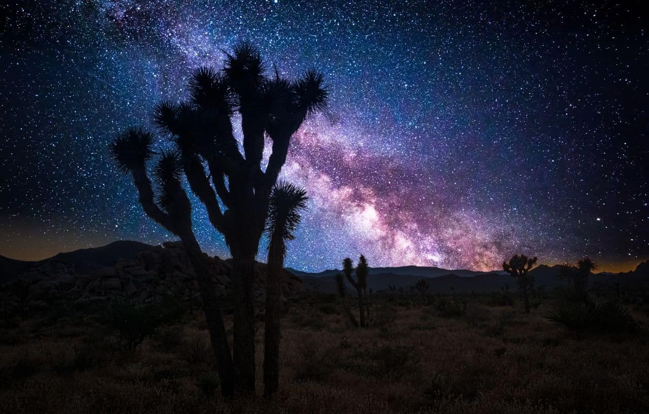 Day trips from Las Vegas to see the starry night in Joshua Tree National Park in California